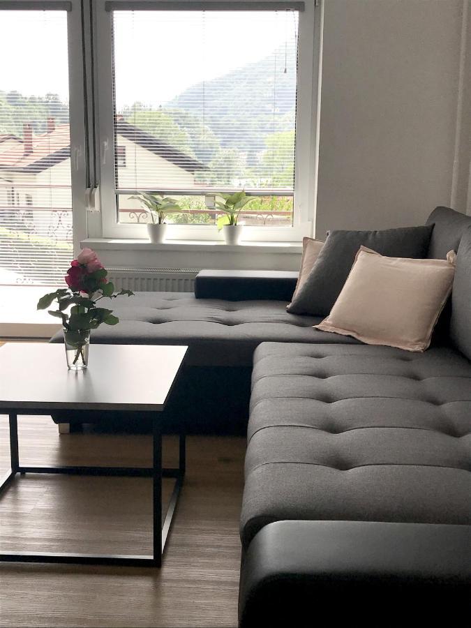 Apartment Loyd, Tolmin - Most na Soči 外观 照片